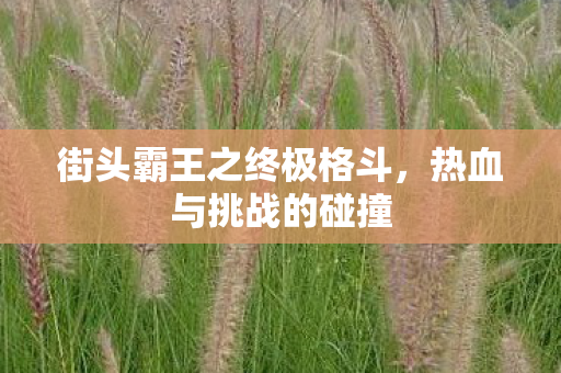 街头霸王之终极格斗，热血与挑战的碰撞