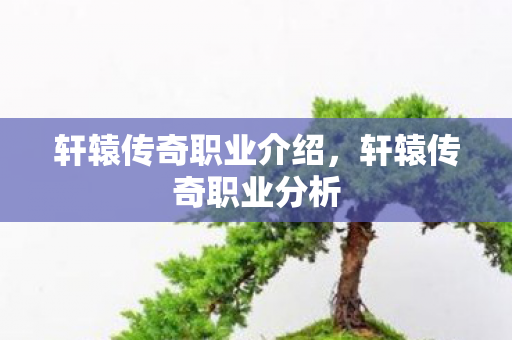 轩辕传奇职业介绍，轩辕传奇职业分析