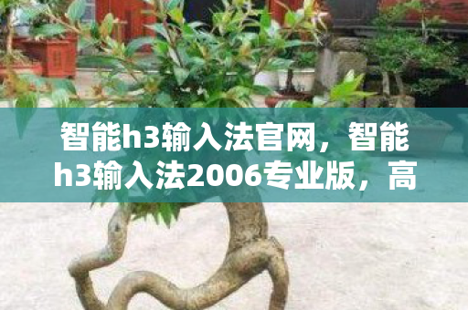 智能h3输入法官网，智能h3输入法2006专业版，高效输入，智能体验