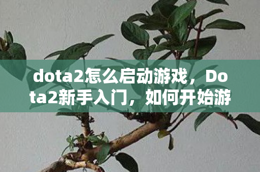 dota2怎么启动游戏，Dota2新手入门，如何开始游戏