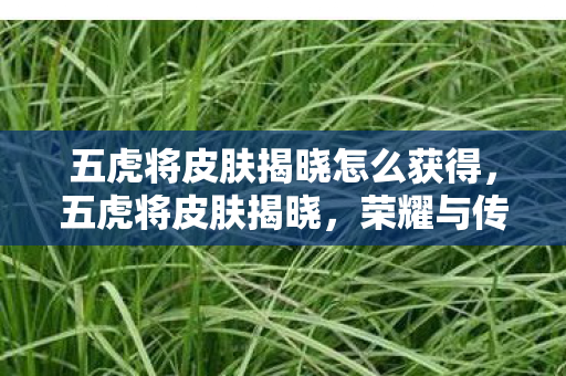 五虎将皮肤揭晓怎么获得，五虎将皮肤揭晓，荣耀与传奇的碰撞