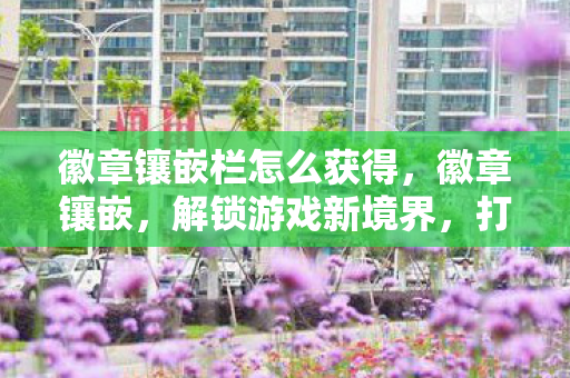 徽章镶嵌栏怎么获得，徽章镶嵌，解锁游戏新境界，打造个性化装备