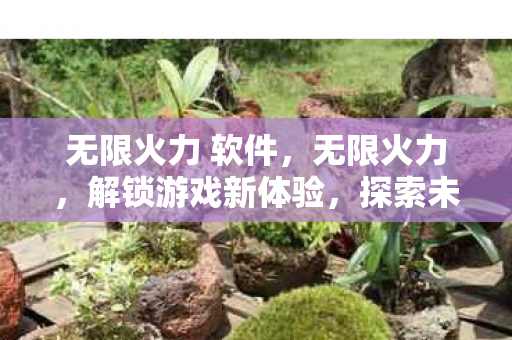 无限火力 软件，无限火力，解锁游戏新体验，探索未知乐趣
