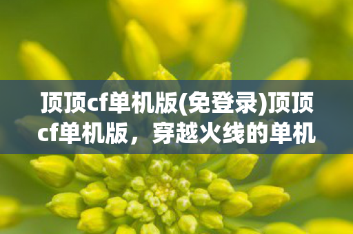 顶顶cf单机版(免登录)顶顶cf单机版，穿越火线的单机新体验