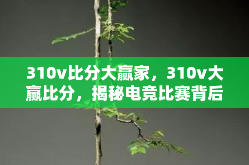 310v比分大赢家，310v大赢比分，揭秘电竞比赛背后的数据驱动