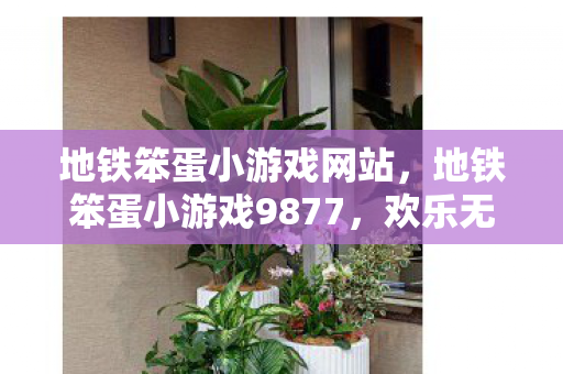 地铁笨蛋小游戏网站，地铁笨蛋小游戏9877，欢乐无限，挑战你的智慧！