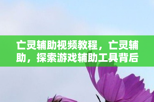 亡灵辅助视频教程，亡灵辅助，探索游戏辅助工具背后的奥秘