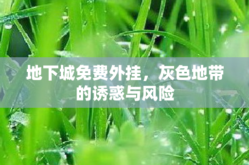 地下城免费外挂，灰色地带的诱惑与风险