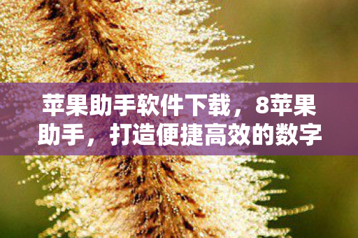苹果助手软件下载，8苹果助手，打造便捷高效的数字生活体验