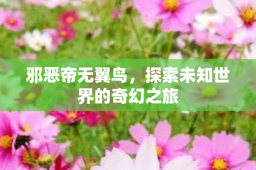 邪恶帝无翼鸟，探索未知世界的奇幻之旅