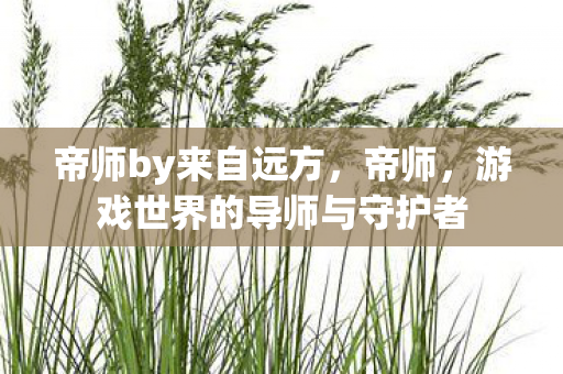 帝师by来自远方，帝师，游戏世界的导师与守护者