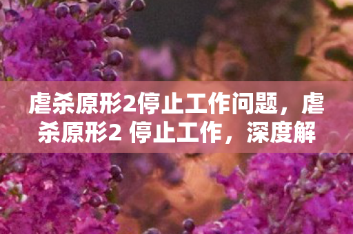 虐杀原形2停止工作问题，虐杀原形2 停止工作，深度解析与解决方案