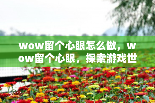 wow留个心眼怎么做，wow留个心眼，探索游戏世界的多元体验与官方授权的重要性