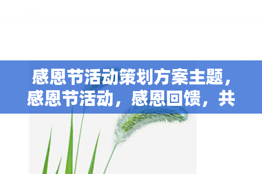 感恩节活动策划方案主题，感恩节活动，感恩回馈，共享欢乐
