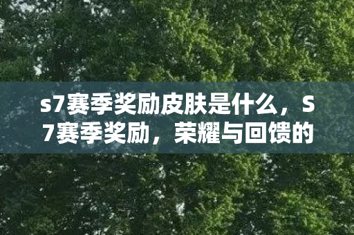 s7赛季奖励皮肤是什么，S7赛季奖励，荣耀与回馈的交响曲