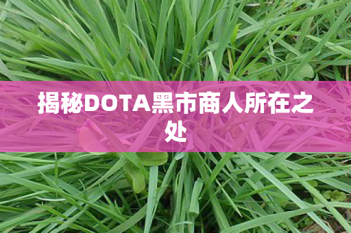 揭秘DOTA黑市商人所在之处