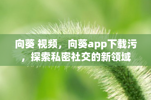 向葵 视频，向葵app下载污，探索私密社交的新领域