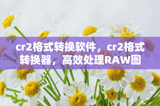cr2格式转换软件，cr2格式转换器，高效处理RAW图像文件的利器