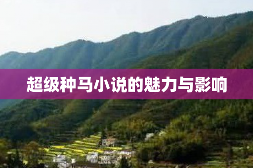 超级种马小说的魅力与影响