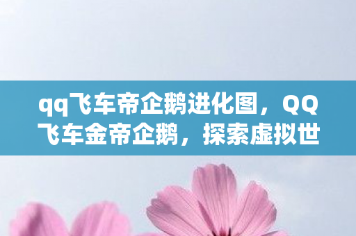 qq飞车帝企鹅进化图，QQ飞车金帝企鹅，探索虚拟世界的无限可能