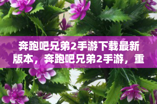 奔跑吧兄弟2手游下载最新版本，奔跑吧兄弟2手游，重温经典，欢乐无限