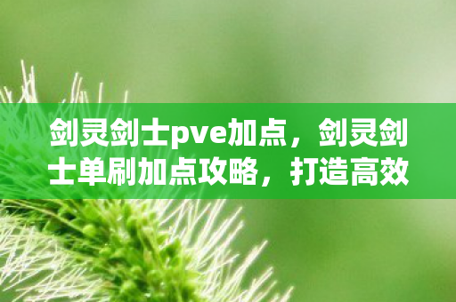 剑灵剑士pve加点，剑灵剑士单刷加点攻略，打造高效独刷体验