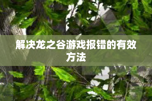 解决龙之谷游戏报错的有效方法