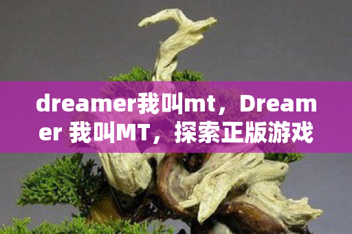 dreamer我叫mt，Dreamer 我叫MT，探索正版游戏世界的无限可能