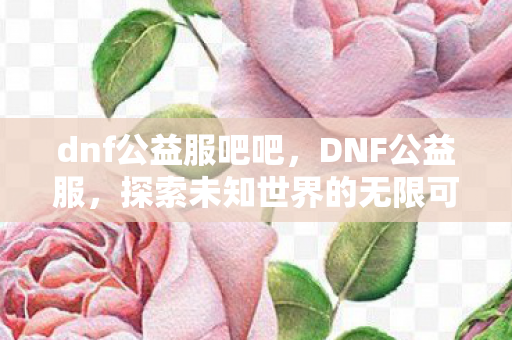 dnf公益服吧吧，DNF公益服，探索未知世界的无限可能