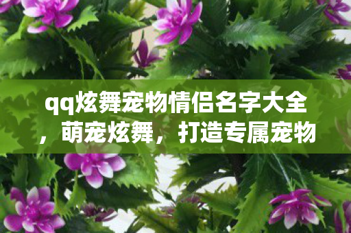 qq炫舞宠物情侣名字大全，萌宠炫舞，打造专属宠物情侣名字