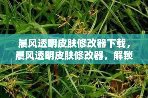 晨风透明皮肤修改器下载，晨风透明皮肤修改器，解锁游戏视觉盛宴的利器