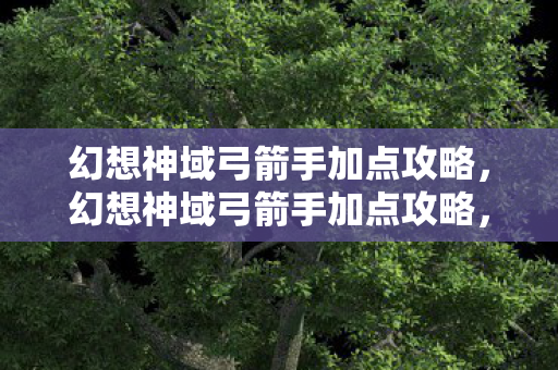 幻想神域弓箭手加点攻略，幻想神域弓箭手加点攻略，打造高效输出角色