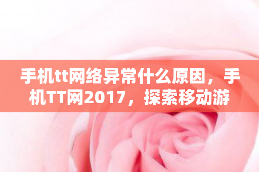 手机tt网络异常什么原因，手机TT网2017，探索移动游戏的新纪元