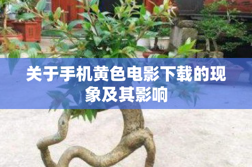 关于手机黄色电影下载的现象及其影响