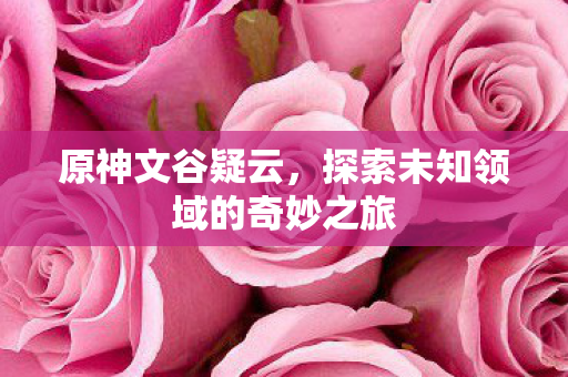 原神文谷疑云，探索未知领域的奇妙之旅