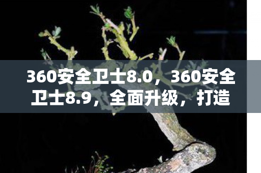 360安全卫士8.0，360安全卫士8.9，全面升级，打造更安全的数字生活