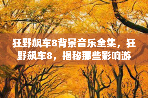 狂野飙车8背景音乐全集，狂野飙车8，揭秘那些影响游戏体验的bug