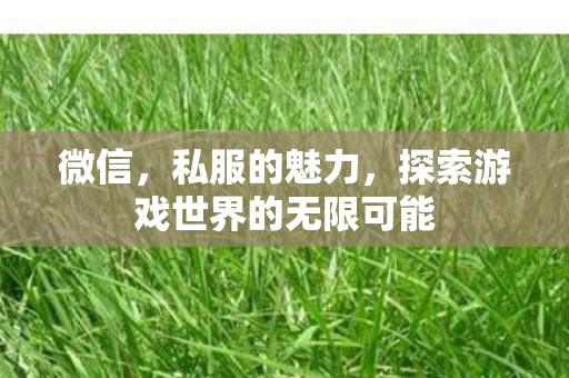 微信，私服的魅力，探索游戏世界的无限可能