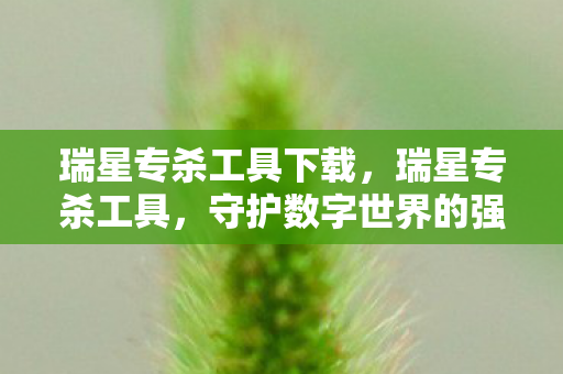 瑞星专杀工具下载，瑞星专杀工具，守护数字世界的强大武器