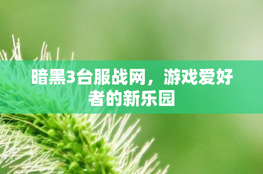 暗黑3台服战网，游戏爱好者的新乐园