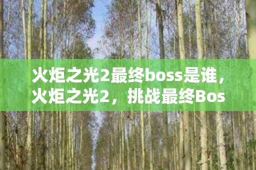 火炬之光2最终boss是谁，火炬之光2，挑战最终Boss—灰影领主