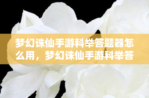 梦幻诛仙手游科举答题器怎么用，梦幻诛仙手游科举答题器，提升答题效率，助力科举成功