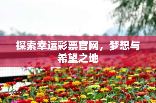探索幸运彩票官网，梦想与希望之地