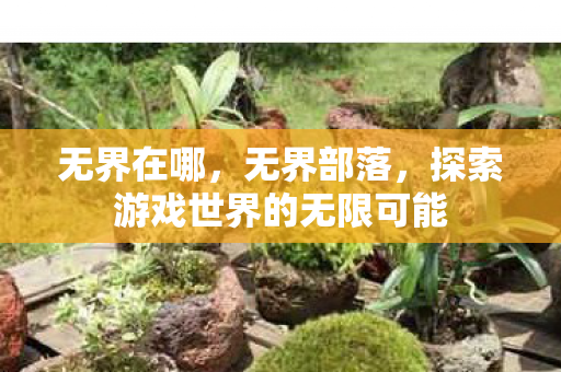 无界在哪，无界部落，探索游戏世界的无限可能