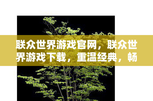 联众世界游戏官网，联众世界游戏下载，重温经典，畅享无限乐趣