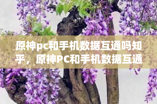 原神pc和手机数据互通吗知乎，原神PC和手机数据互通吗？详解官方同步机制