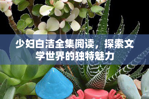 少妇白洁全集阅读，探索文学世界的独特魅力