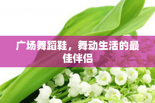 广场舞蹈鞋，舞动生活的最佳伴侣