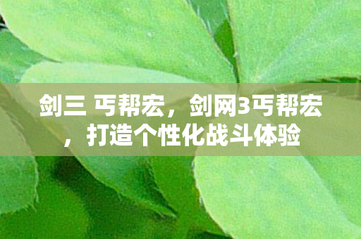 剑三 丐帮宏，剑网3丐帮宏，打造个性化战斗体验