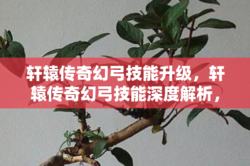 轩辕传奇幻弓技能升级，轩辕传奇幻弓技能深度解析，箭舞风云，掌控战场